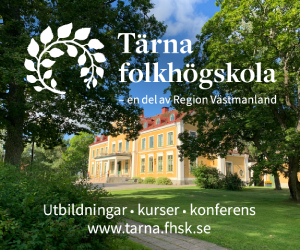 TÄRNA FOLKHÖGSKOLA